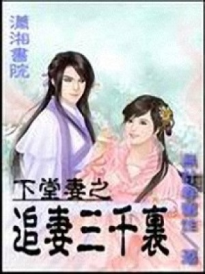 下堂妻之追妻三千里