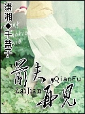 前夫再見