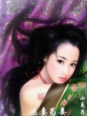 逃妻為妾