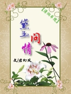 黛玉問情