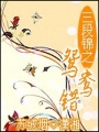 三段錦之鴛鴦錯(cuò)