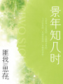 景年知幾時