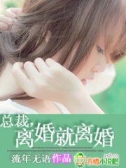總裁，離婚就離婚！