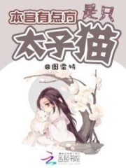 本宮有點方：太子是只貓