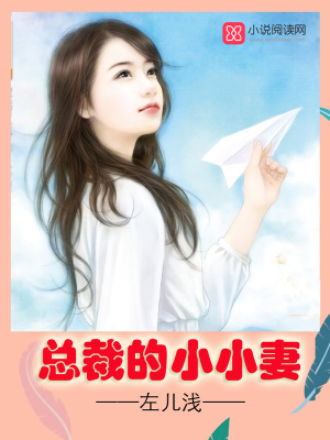 總裁的小小妻