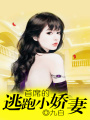 首席的逃跑小嬌妻