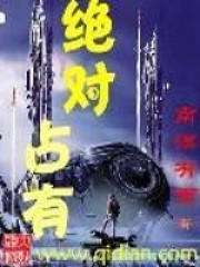 絕對占有