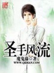 圣手風流