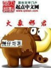 火象邪君