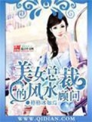 美女總裁的風水顧問