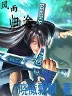 風(fēng)雨歸途