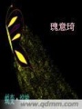 蛻變綻放