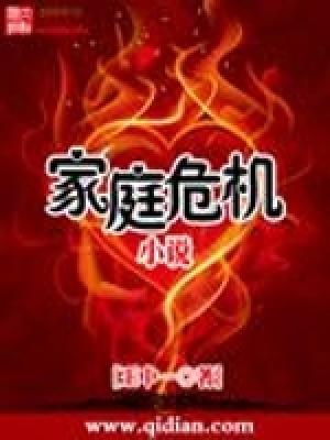 家庭危機小說