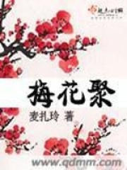 梅花聚