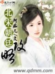 北宋朝廷攻略