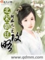北宋朝廷攻略