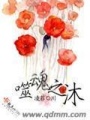 噬魂之沐