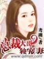 總裁大哥獨(dú)寵妻