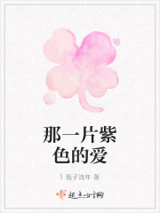 那一片紫色的愛