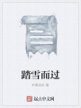 踏雪而過