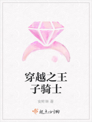 穿越之王子騎士