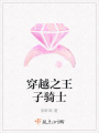 穿越之王子騎士