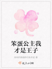 笨蛋公主我才是王子