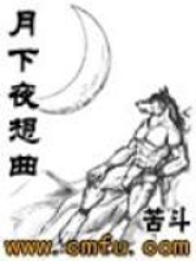 月下夜想曲