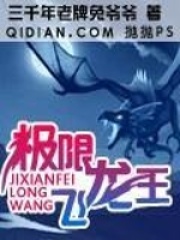 極限飛龍王