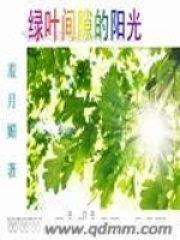 綠葉間隙的陽光