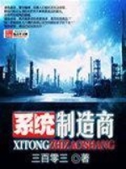 系統制造商