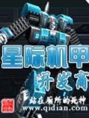 星際機甲開發商
