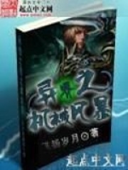 異界之機(jī)械風(fēng)暴
