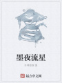 墨夜流星