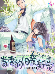 寶貝別鬧：首席的舊愛新寵