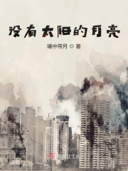 沒(méi)有太陽(yáng)的月亮