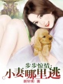 步步驚情：小妻哪里逃