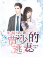 柔情陷阱：賈少的逃妻