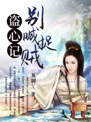 盜心記：別喊捉賊