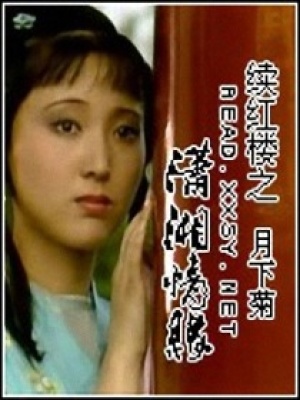 續紅樓之瀟湘情緣