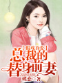 假戲真愛，總裁的替身前妻