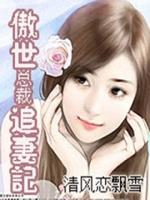 傲世總裁追妻記