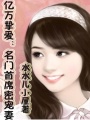 帶球媽咪，總裁別碰我