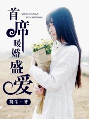 首席暖婚盛愛