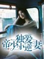 帝少獨愛小逆妻