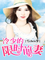 冷少的限時前妻