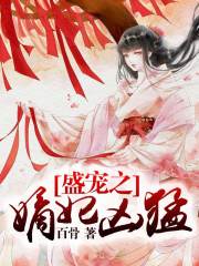 盛寵之嫡妃兇猛