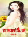 總裁的逃妻
