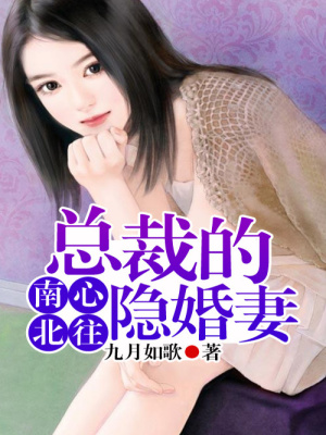 南心北往，總裁的隱婚妻