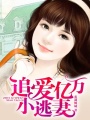追愛億萬小逃妻